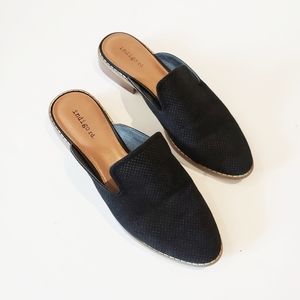 macy's clogs and mules
